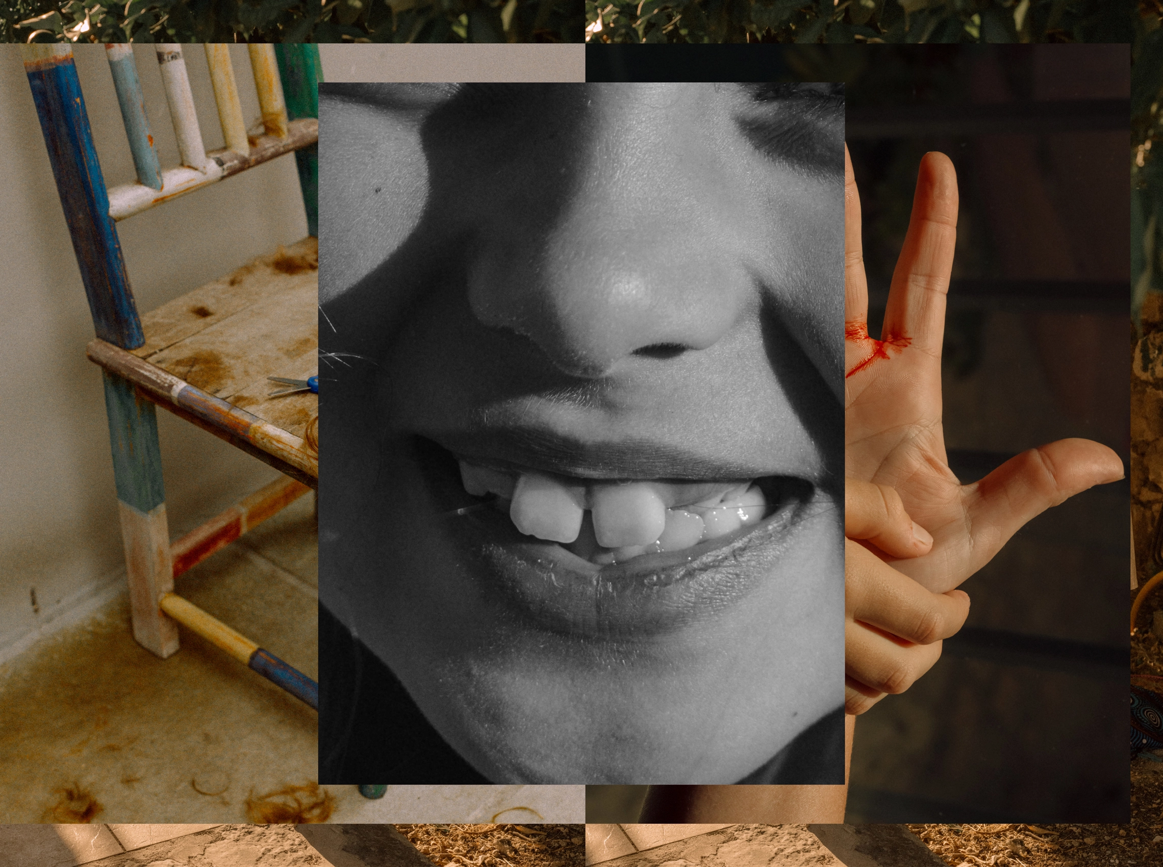 Lisa Sorgini — In-Passing