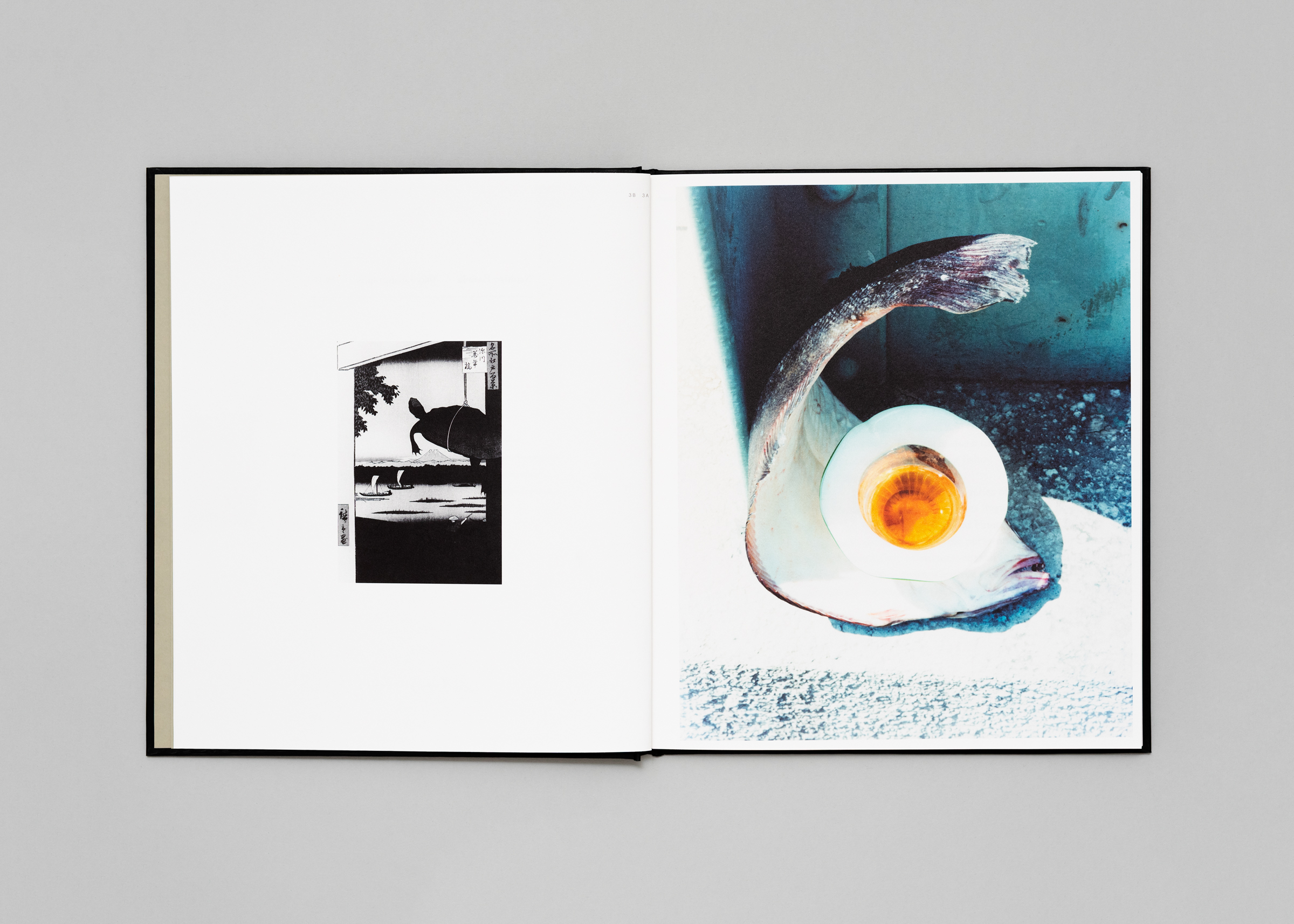 Naohiro Harada — Tokyo Fishgraphs | 2020