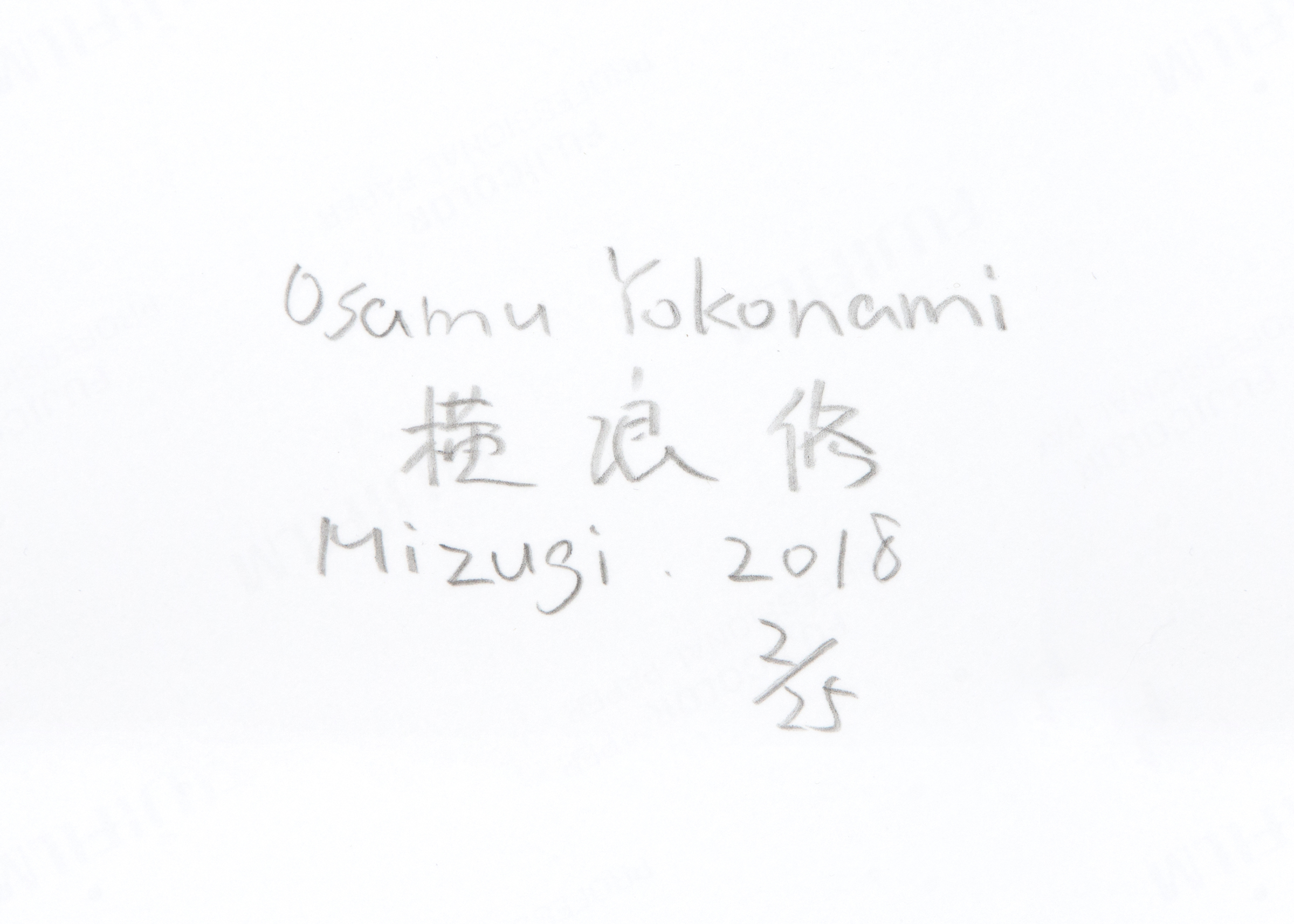 Osamu Yokonami — Mizugi