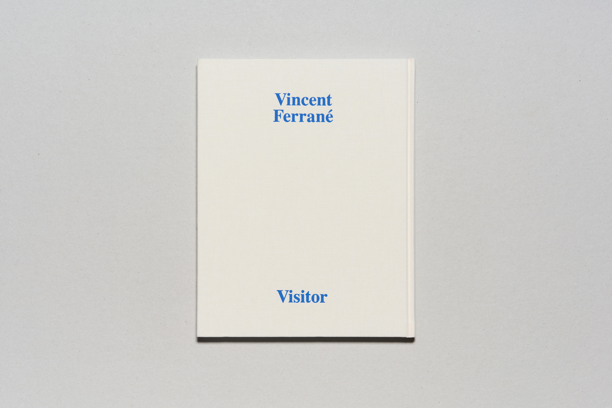 Vincent Ferrané — Visitor